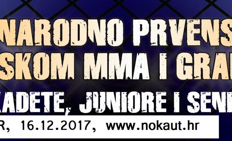 16. 12. 2017., Samobor ultimate fight challenge