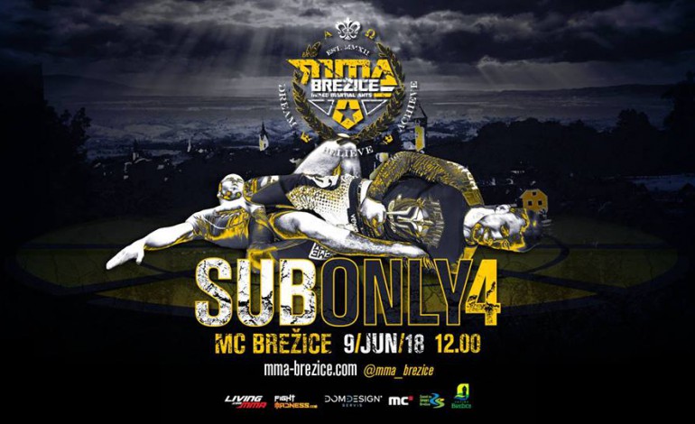 9. 6. 2018., Brežice: Sub Only 4, Brežice